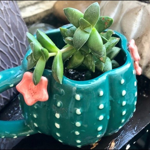 Design Imports Other - Lovely Cactus Mug.  Earthenware